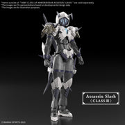 30MF - Class Up Armor - Rosan Assassin Slash