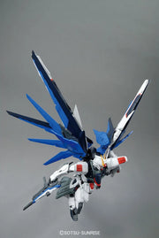 MG Seed - Freedom Gundam Ver. 2.0