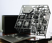 Zodiac Warrior: Dragon